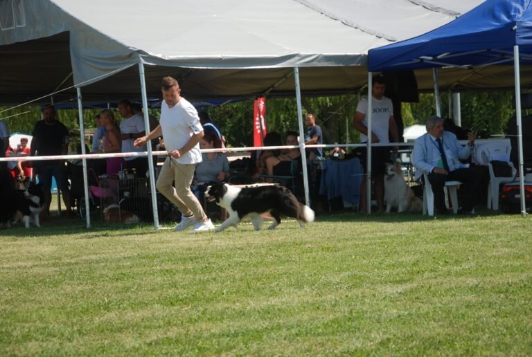 441413451 3740830762821281 7557075710593945455 n