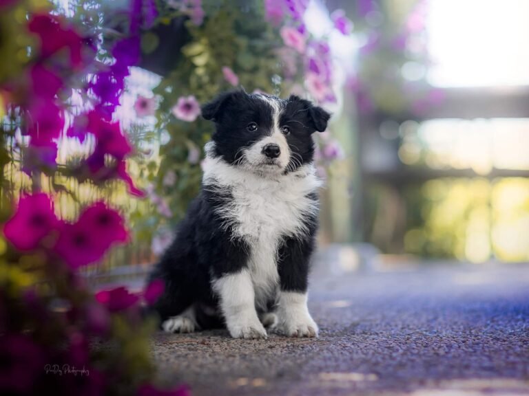 480149948 1456551522416036 1688686838077653717 n