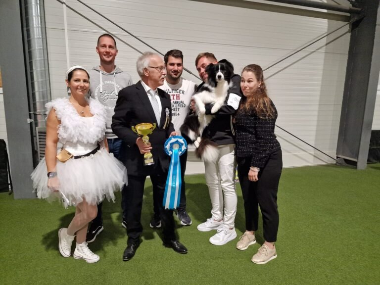 491136372 9407410712639434 5803405058171515275 n