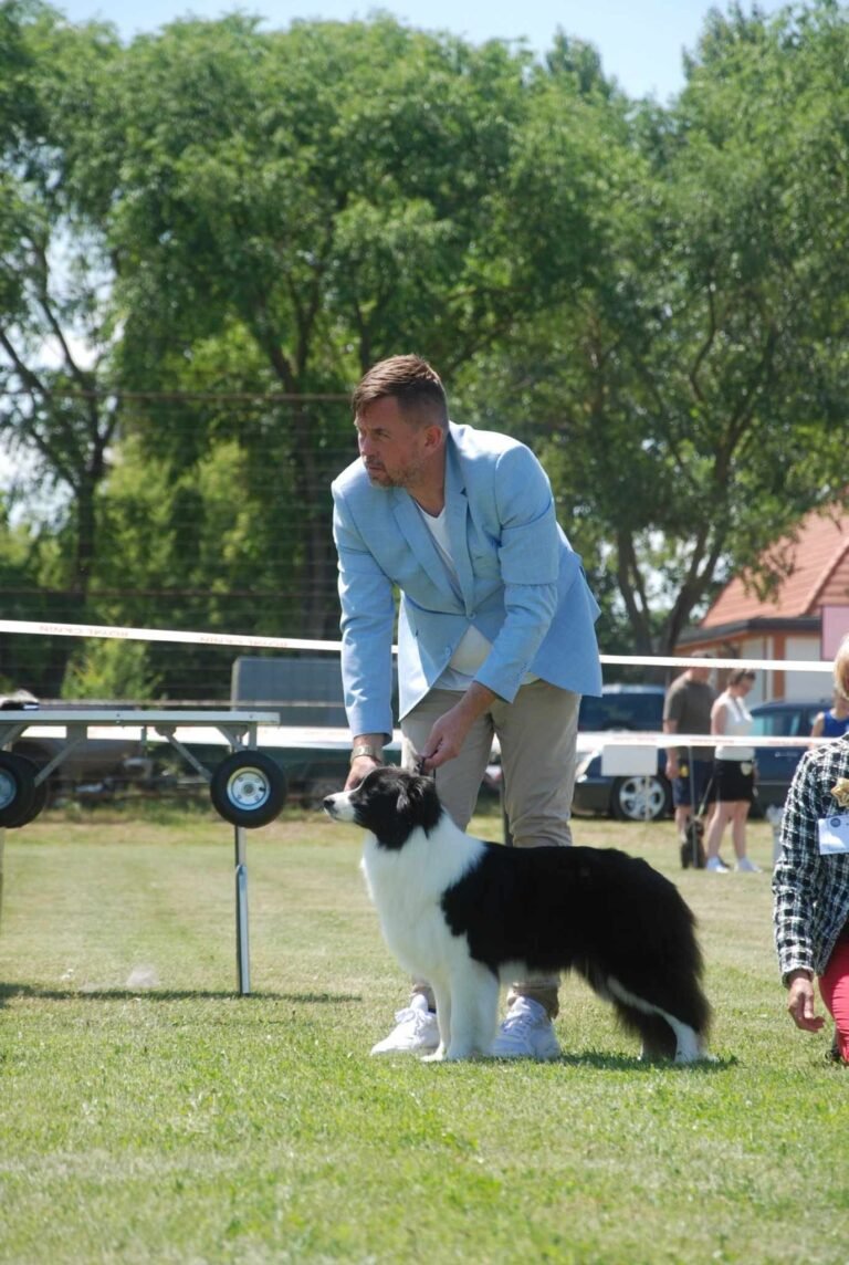 493729168 9485090861538085 6259886187426312928 n