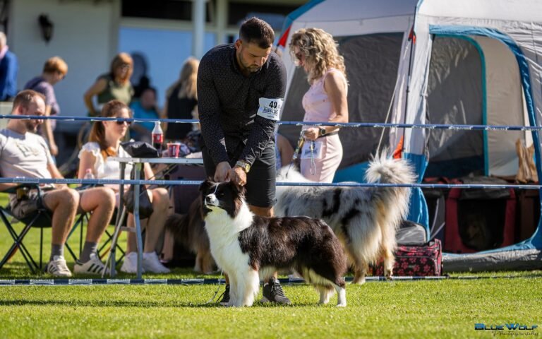 554983959 24466596379627621 88415061511495975 n