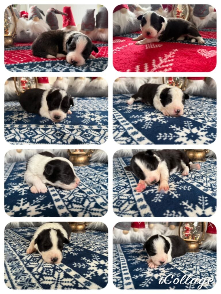 598788167 25165383129748939 958327265142190082 n