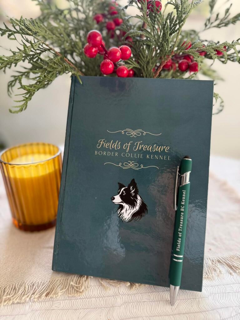 640906965 25776634711957108 2929899074062523405 n