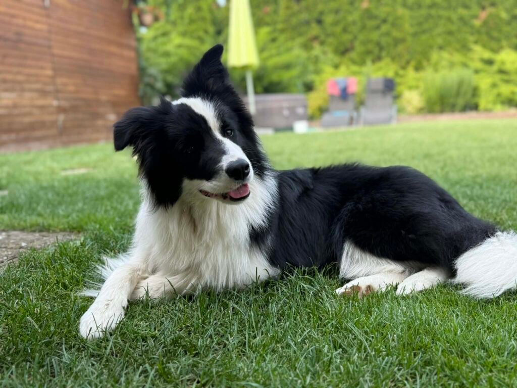 1aa1bd69 0011 4613 addc fc3e83430c94