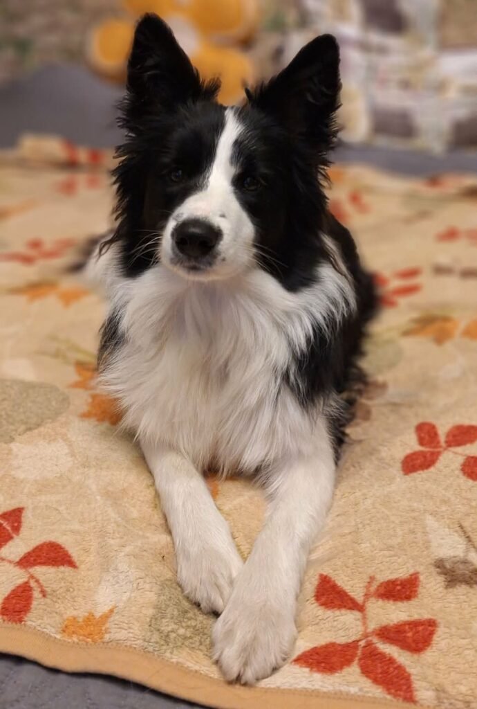 468f136d cb2d 48af ae4c aad09c117482