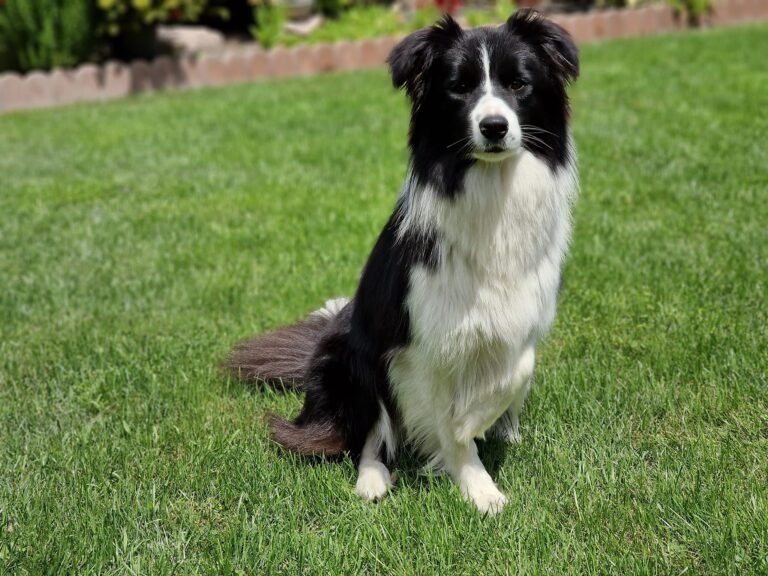 489309599 9360520553995117 2951987174398595328 n (1)