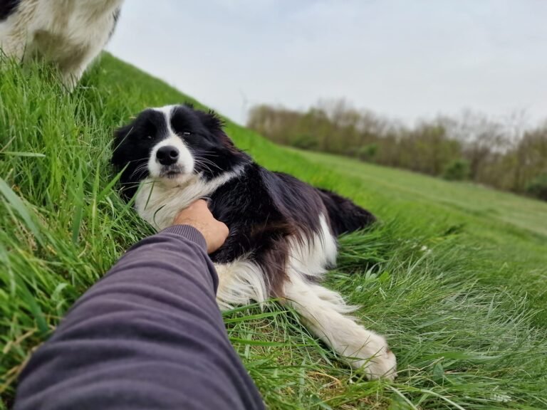 493319846 9487844411262730 7945965197193242799 n