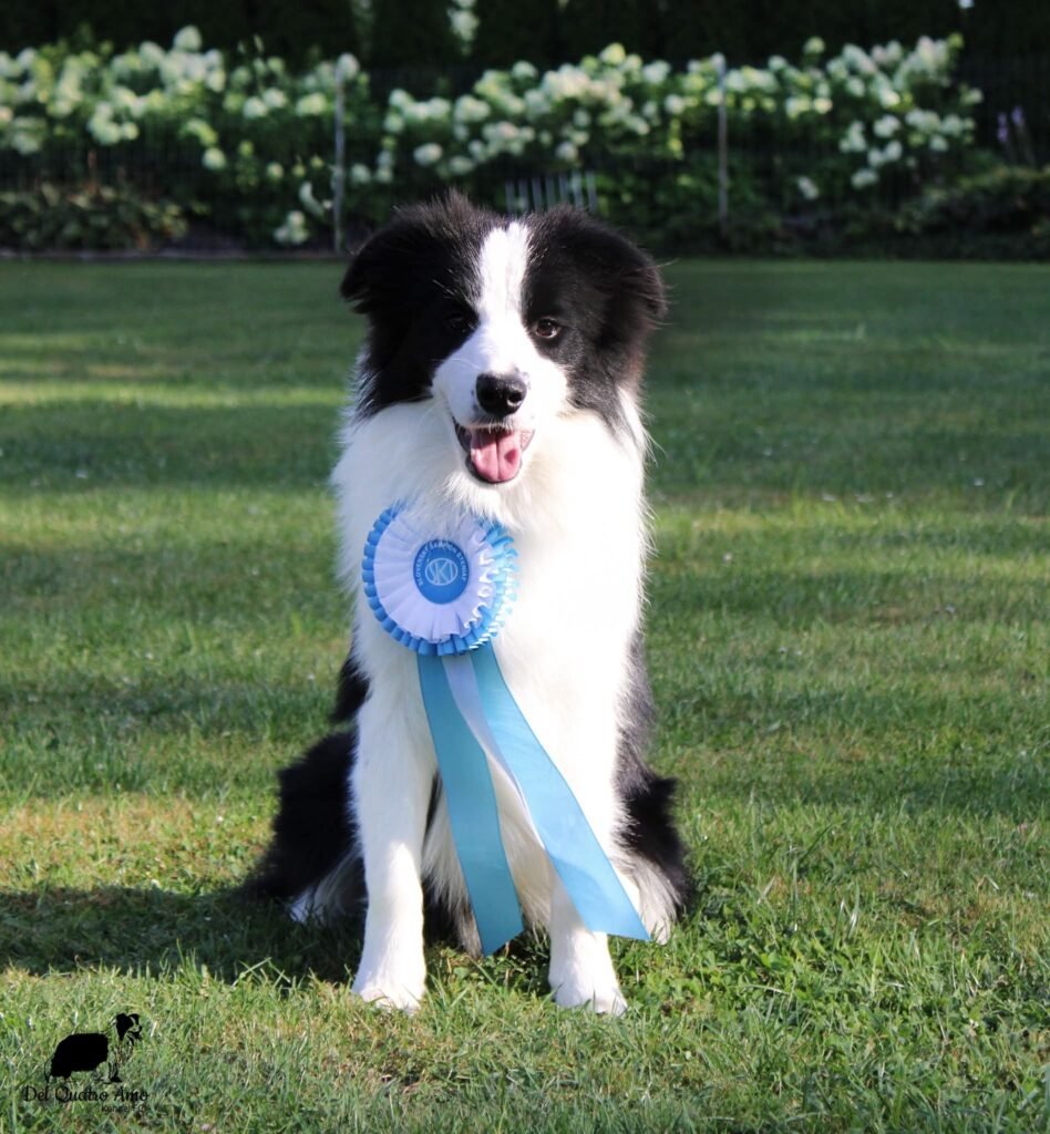 640307436 1485250516940740 6548420924028396920 n