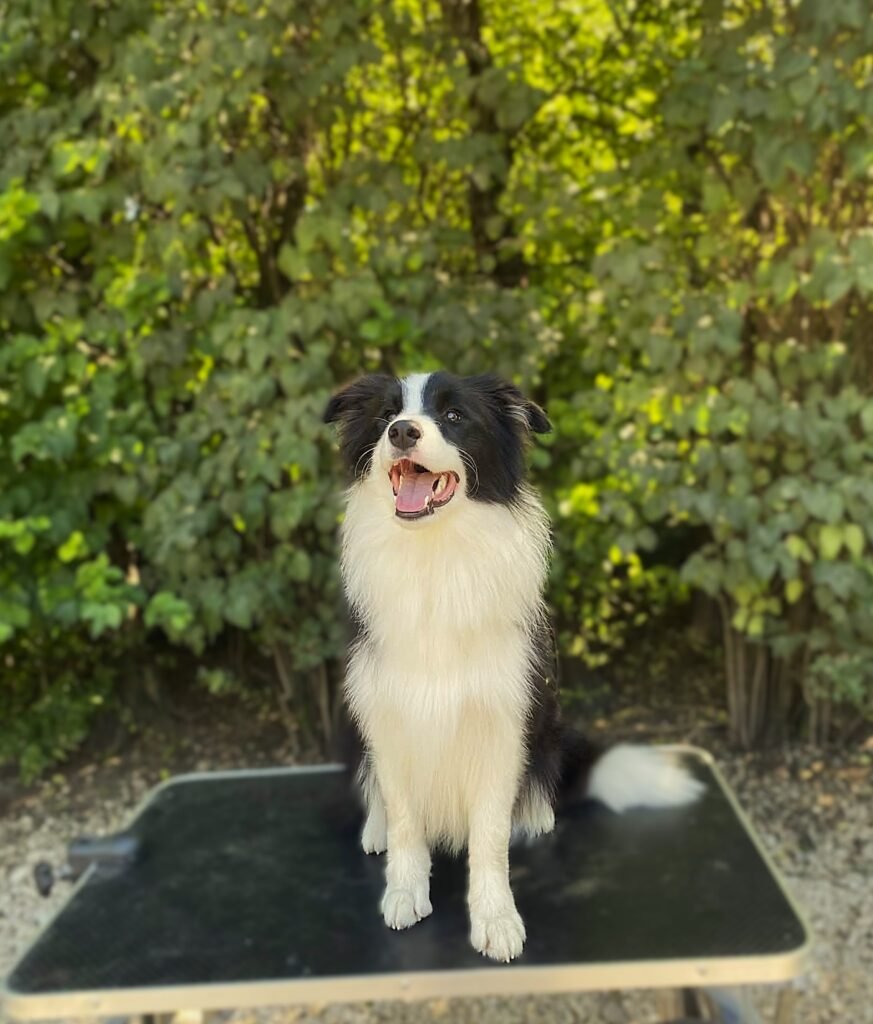 a47f322f 90c9 4941 9df6 c0b435d80a9b