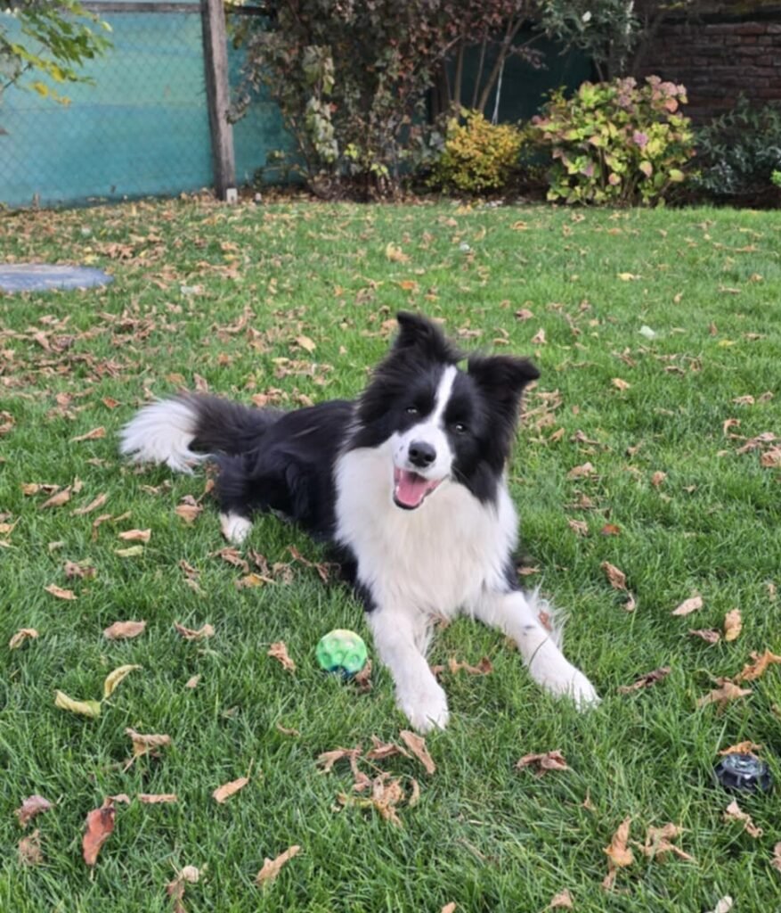 b18c23db 4826 4d3f 82a5 ed504356c0a5