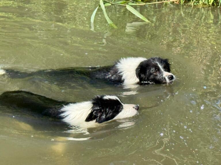 fc9ac072 99c7 48f0 af4a fd5a6cecbc93